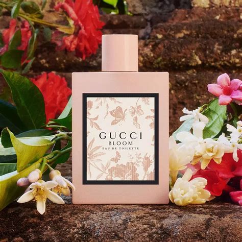 gucci 新作香水|Gucci bloom.